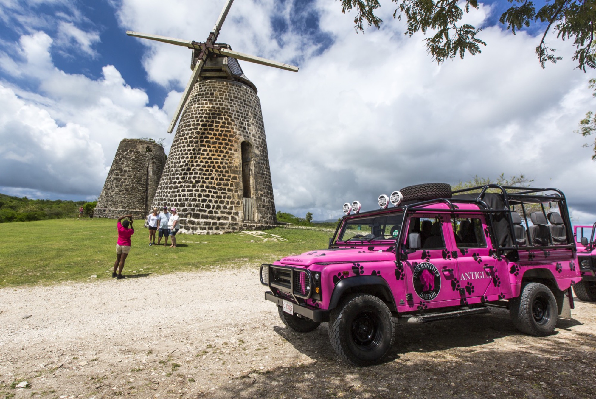 Pink Panther Safari