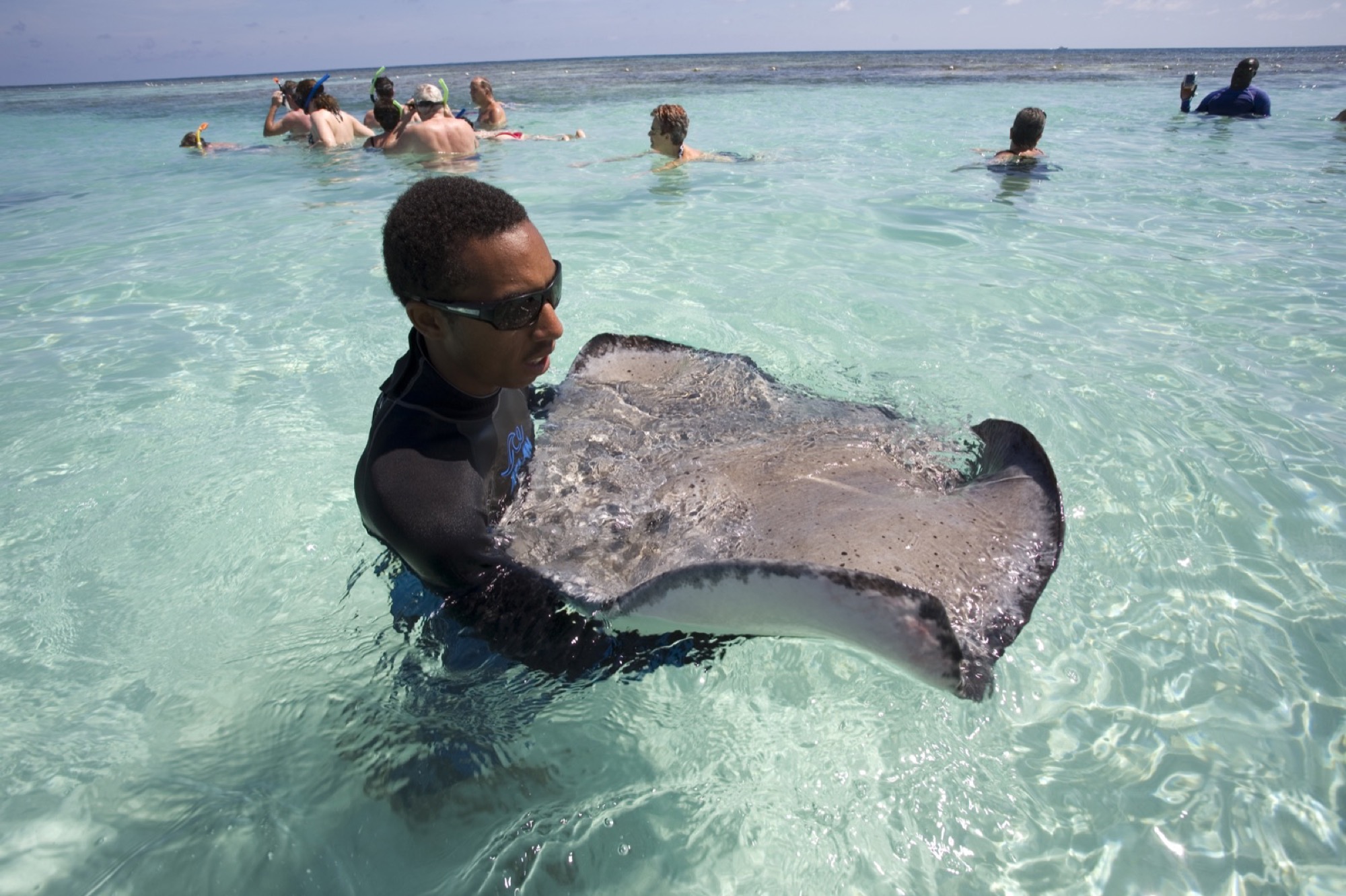 Stingray City