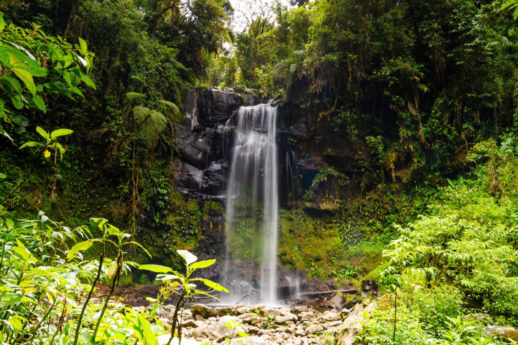 Lost Waterfalls Hike