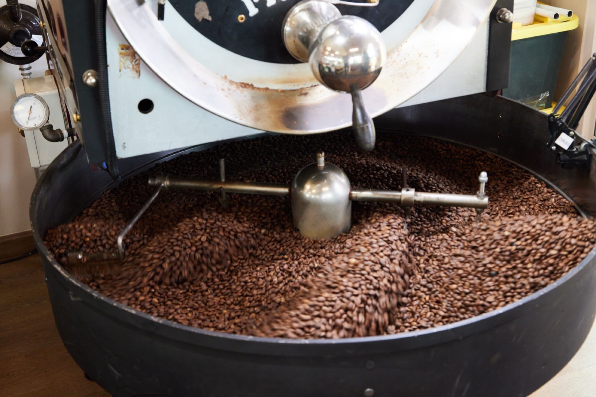 Rainforest Coffee Tour